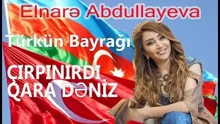Elnare Abdullayeva, Türkün Bayrağı, Qarabağ şikəstəsi,
