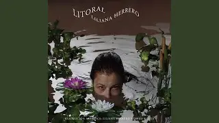 Parte del Aire