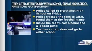 Teen cited after found with alcohol, gun at high school