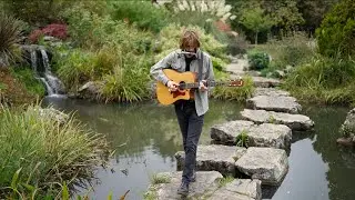 If (live)