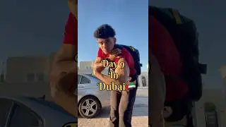 Day 9 in dubai🇦🇪 #dubai #indian #fitnesstrainer #personaltrainer #uae #minivlog #shorts #reels