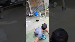 electric 🍅 shot 🤣 #funny #viralvideo #newpost #trendingvideo #justentertainment #current