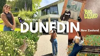 Dunedin, New Zealand travel vlog 🪿 Museum visits | wild life | favourite food spots!