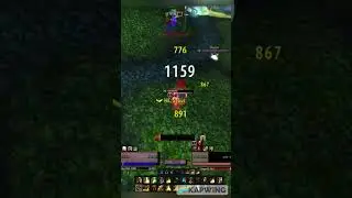 wow tbc ret paladin in bg