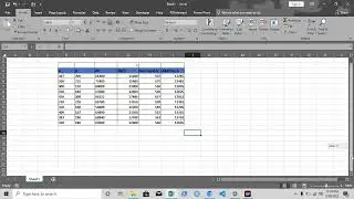Basic Formating on Excel