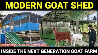 Modern Goat Farm SHED Complete setup//INSIDE the next generation Goat fafm in Odisha#GoatFarmShed  