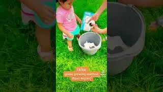 Poor Mans Hydroseed - Grass Spot Repair made simple. How to plant Scott's grass seed.