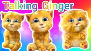 Talking Ginger funny #funny 🍇🍈🍉🍔 #talkingginger #gameplay #viral #cat videos #trending