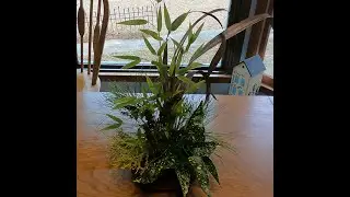 Winter Arrangement from the Yard