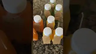 #cleanse #bodyreset #freshjuice #healthyhabits #healthyjuicing #graciouslycee #followtrain