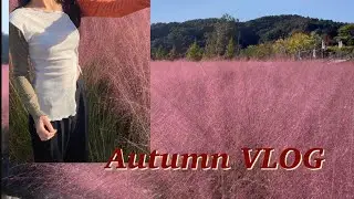 Pink Autumn