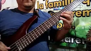En las Cantinas Grupo N&eacute;ctar , Tutorial Bajo Electr&oacute;nico