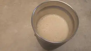 The Best Coffee Ever?
