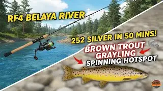 RF4 Belaya River: 250+ Silver in 50 Mins! 💸 Brown Trout & Grayling Spinning Spot 🌲