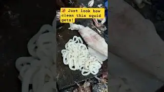 🦑Just look how clean this squid gets #fishing #fishpreparation #youtubeshorts #fishcutting #shorts