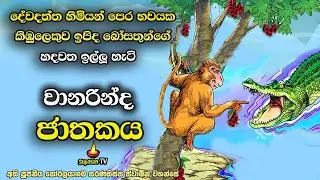 වානරින්ද ජාතකය | දේවදත්ත තෙර තිරිසන් භව වල පවා බුදුරදුන් නැසීමට කළ උපක්‍රම | Wanarinda Jathakaya.