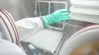 TAILIN --  Aseptic Filling Isolator