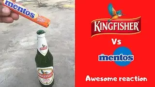 Beer vs Mentos | Awesome reaction 😱😱😱