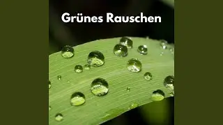 Feines Rauschen