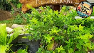 Mai Chau Xanh Bungalow | Mai Chau (Hoa Binh), Vietnam | Hotel Review 🏩