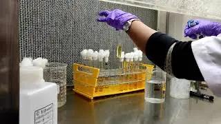 MPN (Most Probable Number) 'preliminary' test,  by Dr. Puspendu Bhunia (Part 1)