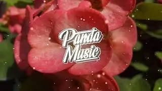 Slushii  - Goodbye Star Girl