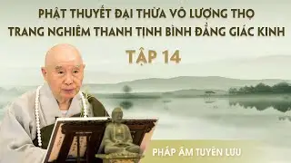 V&ocirc; Lượng Thọ Kinh, tập 14/29 (năm 1994) - Ph&aacute;p Sư Tịnh Kh&ocirc;ng
