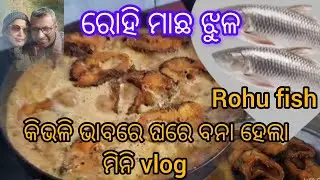 ଜୀରା mustard  ମାଛ  jhula😋🍽🐟#jayant behera Mini vlog #please subscribe like 