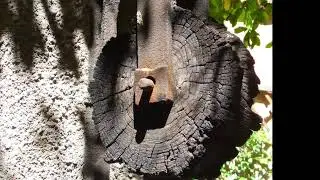 TECHNOLOGYADVANCED