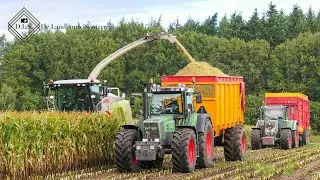 Mais hakselen | Cab view | Claas Jaguar 950 | Two Black Fendt | XXL Transport