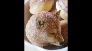 dognut