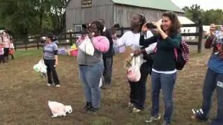 Farmers Diversify Businesses to Attract Tourists