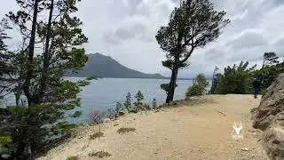 Huemul Rent a Car - Paseo por Villa Tacul - Bariloche - Enero 2021
