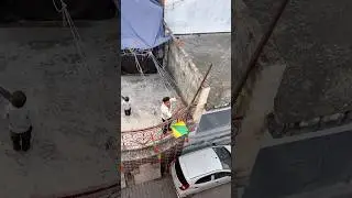 Kite looting 🪁 kite catching 🪁 #youtubeshorts #trending #viral #shorts #kiteflying #kite #kites