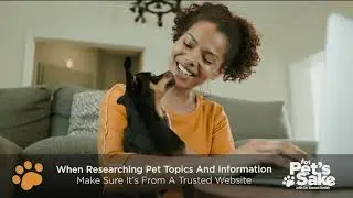 For Pet's Sake - Finding info online
