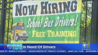 Working For Chicago: School Bus Companies Looking For Drivers This Fall