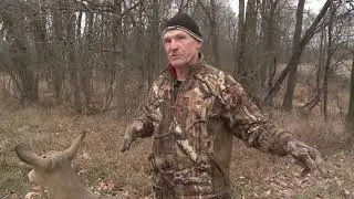 Охота с чучелами оленей: самец или самка? | Охота на оленей в общественных местах и ​​на территор...