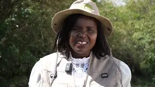 Why should you visit Nairobi National Park? - CS, Ministry of Tourism, Wildlife and Heritage.