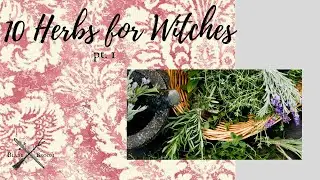 10 Herbs for Witches, part 1