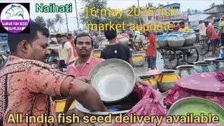 Naihati fish market2025 all tipe fish seed available con nambar 8336049299