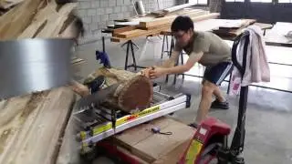 Lynx One Man Cross Cut Saw