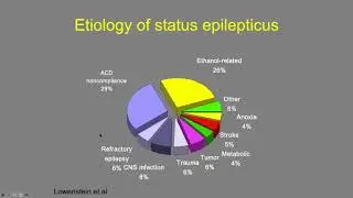 Grand Rounds Collective: Status epilepticus