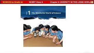 Class 6 Science Chapter 1: Curiosity | 20 Important MCQs in English | NCERT 2025 Quiz