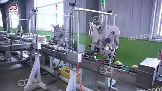 Ultimate Sorting Solution for Apples, Oranges, Avocados | Boost Profit
