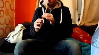 BlackThorn Stick - Tin Whistle