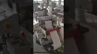 Paper Label Die Cutting Machine With Double Hot Stamping Stations