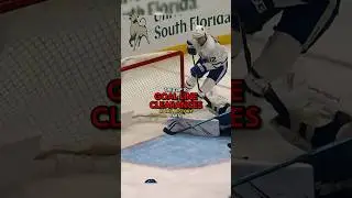 Top 10 goal line clearances in NHL history | Part 1