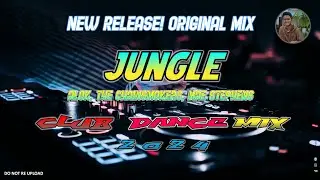 BEST MUSIC 2024 - JUNGLE - ALOK, THE CHAINSMOKERS & MAE STEPHENS (DJ MICHAEL JOHN)