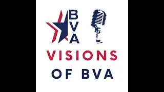 Introducing Visions of BVA