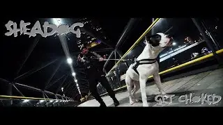 SHEADOG - {GET CHOKED} #MANCHESTER #M18